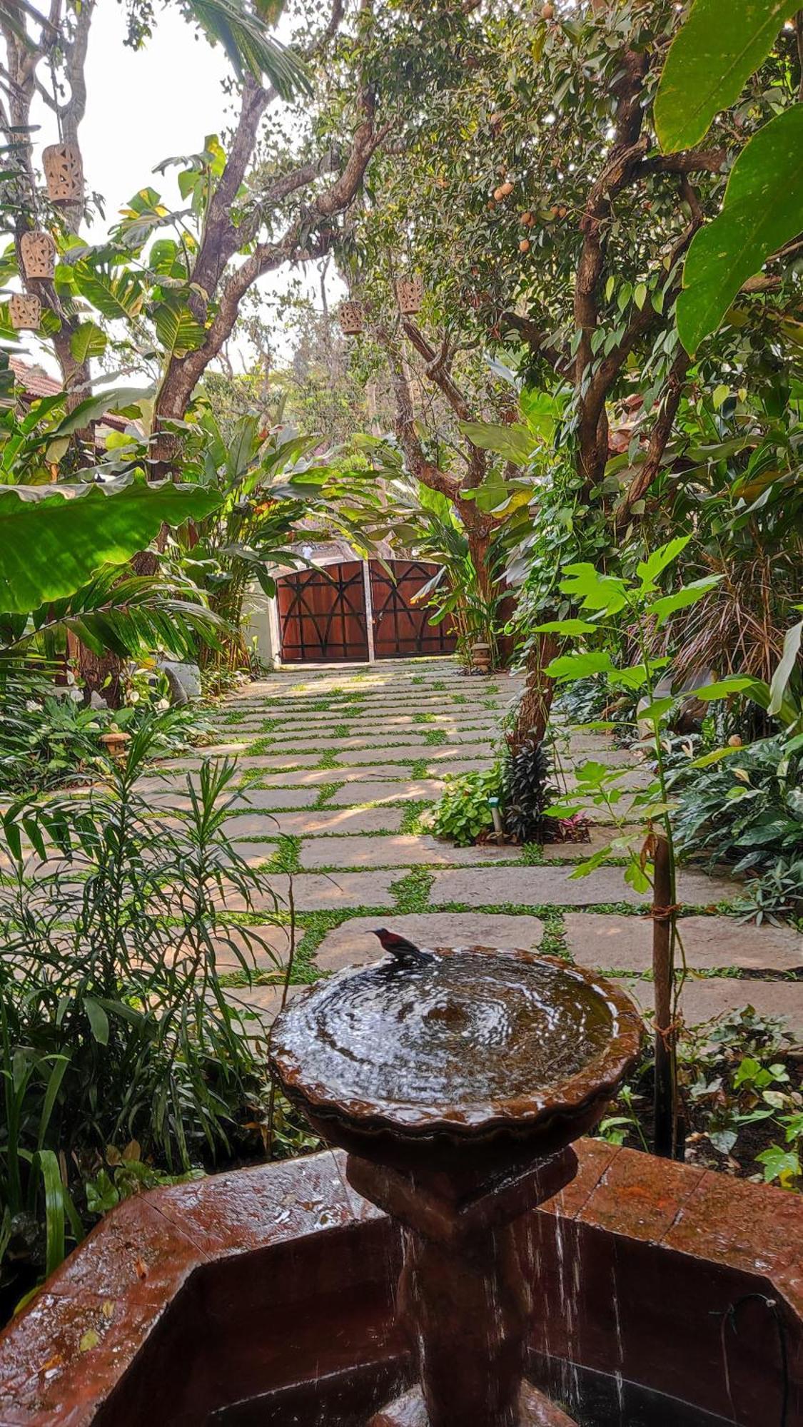 The Postcard Saligao Hotel Calangute Exterior photo