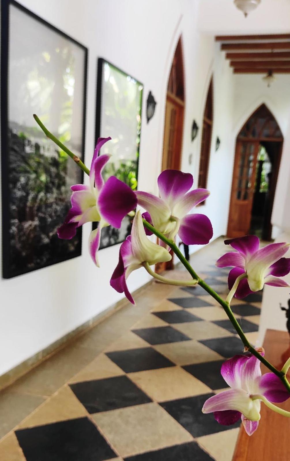 The Postcard Saligao Hotel Calangute Exterior photo