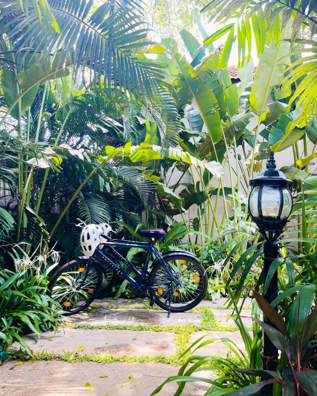 The Postcard Saligao Hotel Calangute Exterior photo